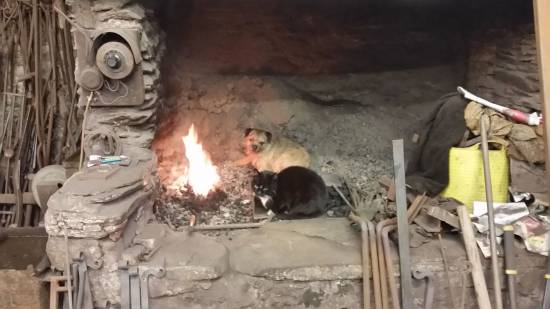 Getting a bit of a heat together