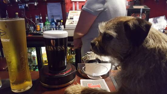A Pint after a hard day work in the Smiddy.